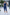Women's Sculpting Performance Capri Legging | Wren & Co.