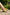Women's Woven Leather Footbed Sandals | Wren & Co.
